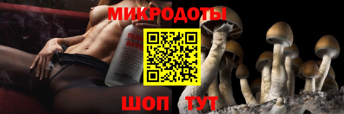 Псилоцибиновые грибы мицелий  Вход с VPN  наркошоп  Брянск 